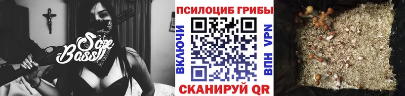 Купить  Муравленко  Псилоцибиновые грибы Cubensis 